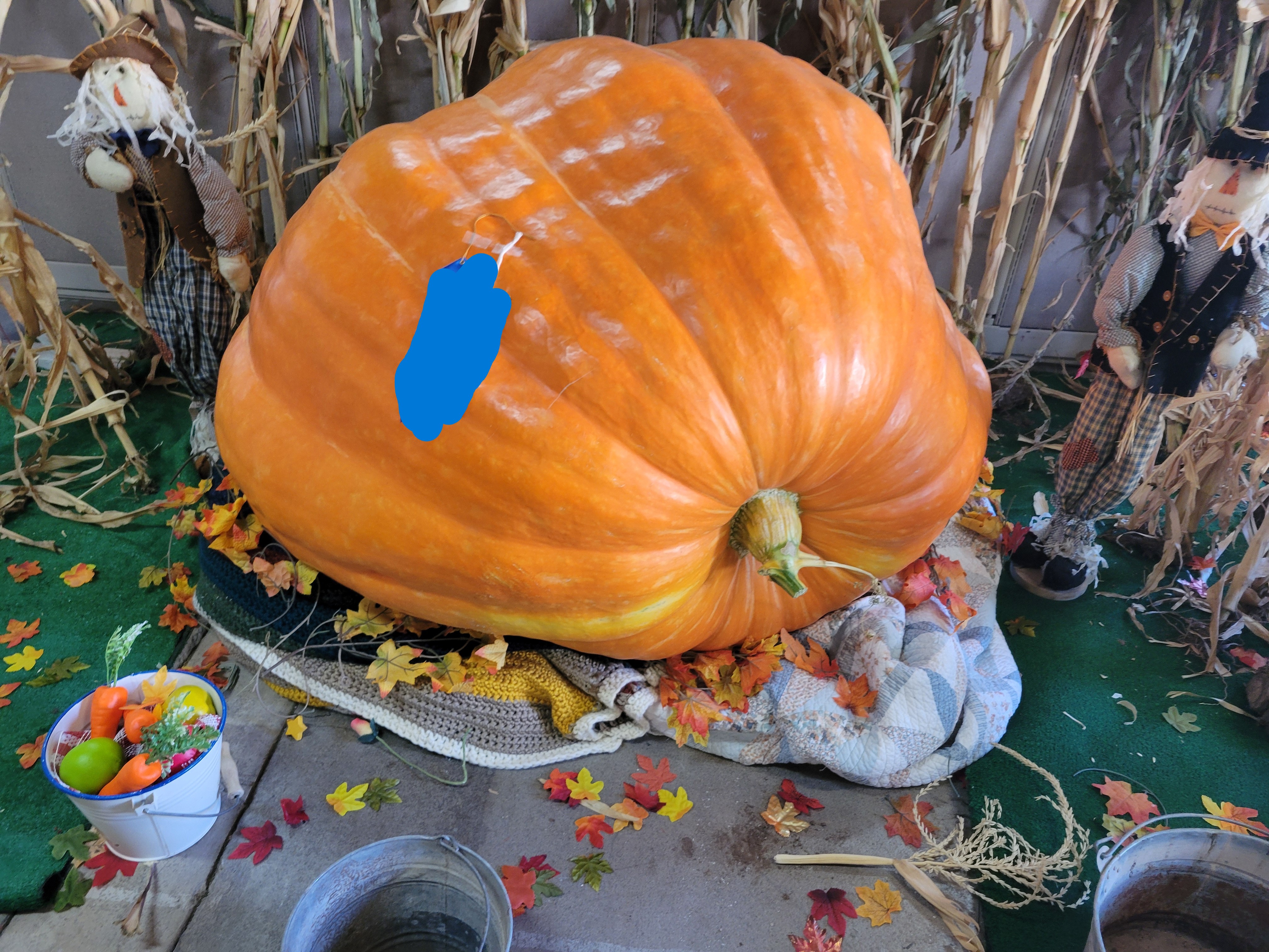 Giant pumpkin in a autumn display with fake leaves and scarecrows.